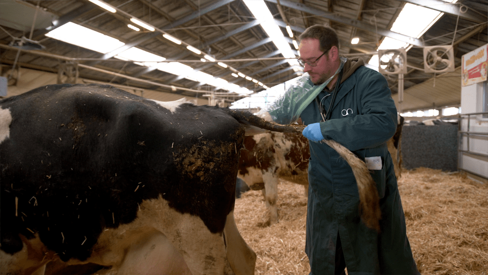 Erklärfilm Landwirtschaft11